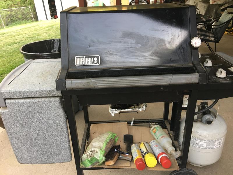 Weber hotsell spirit silver