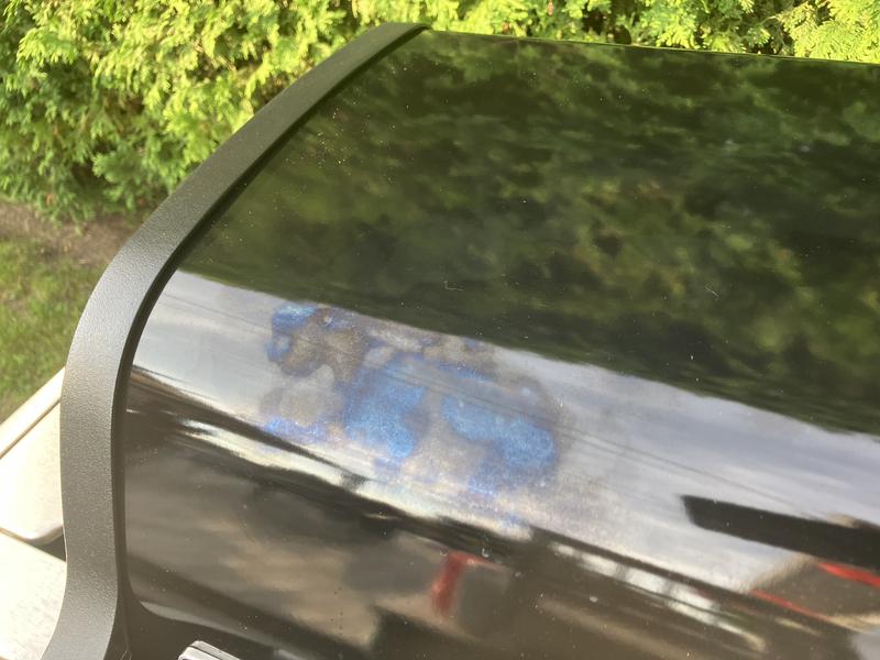 Lid discolored right away