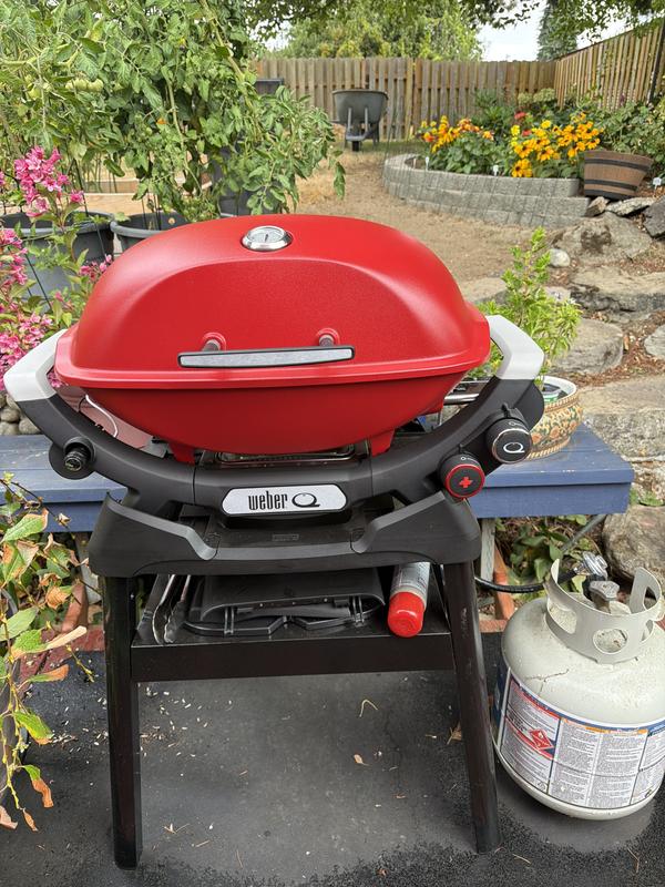 Shop Weber Q 1200 Portable Gas Grill with Griddle Accessories at