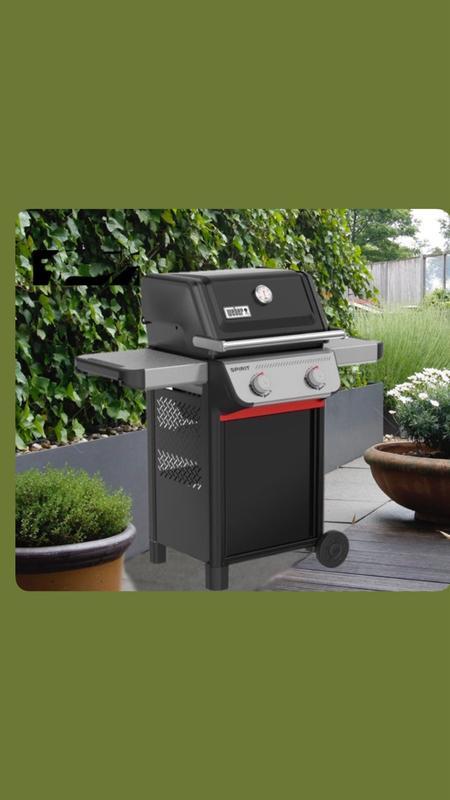 Vanne De Commande Pour Barbecue Gaz Weber Spirit E210 E310 E315 E320 - Compatible Propane Et Gaz Naturel, Réglage Précis Des Flammes