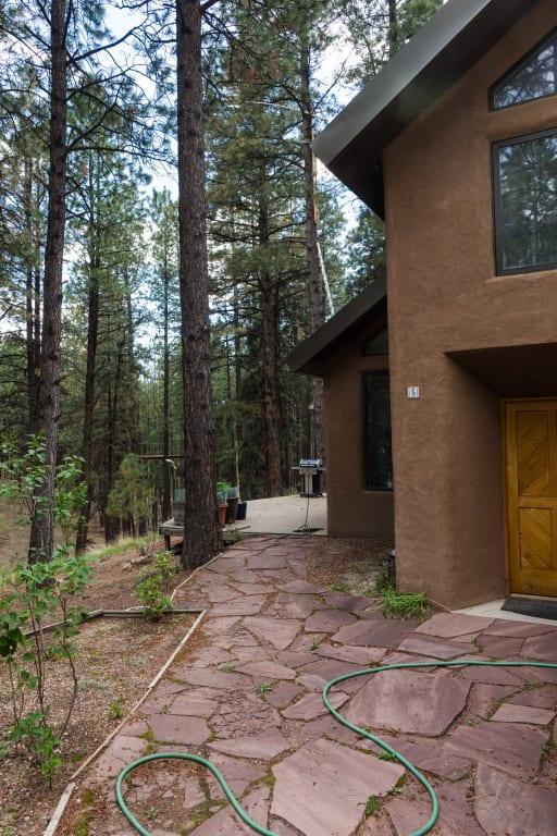 Antenna in a ponderosa pine.