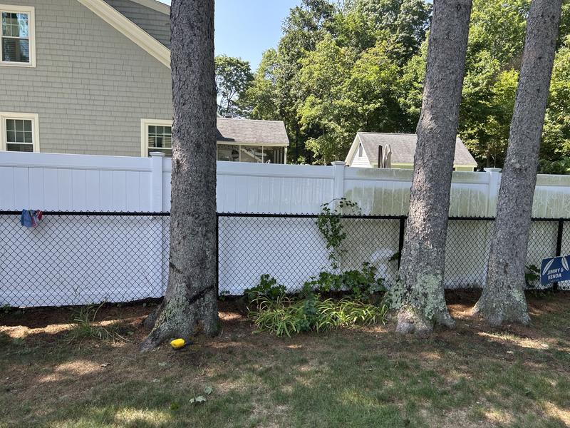 Fence on the left after cleaner, fence on the right before cleaner