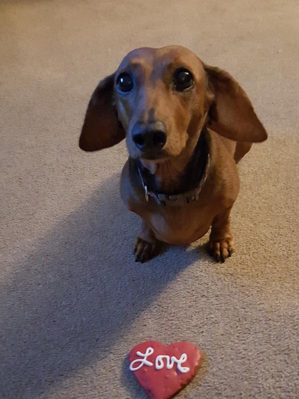 Molly