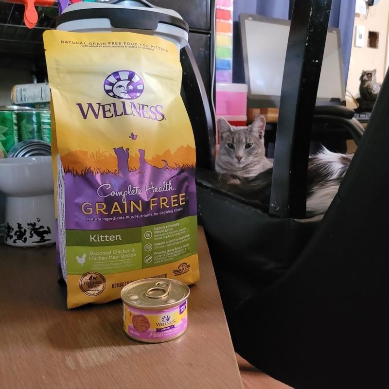 Wellness kitten hot sale wet food