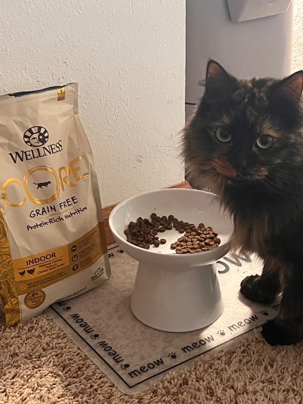 Grain free cat food issues sales