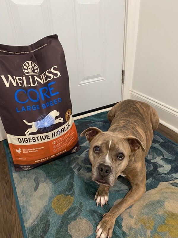 Wellness core large breed review sales