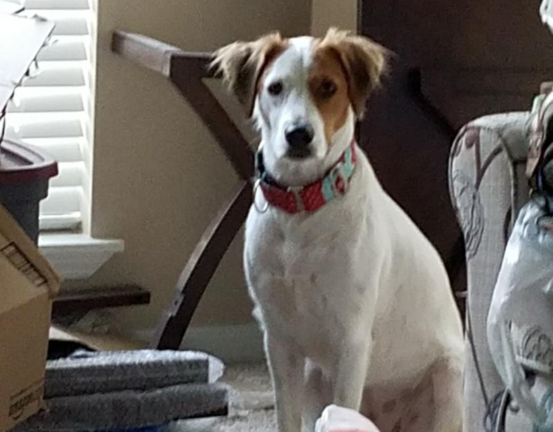 Roxy