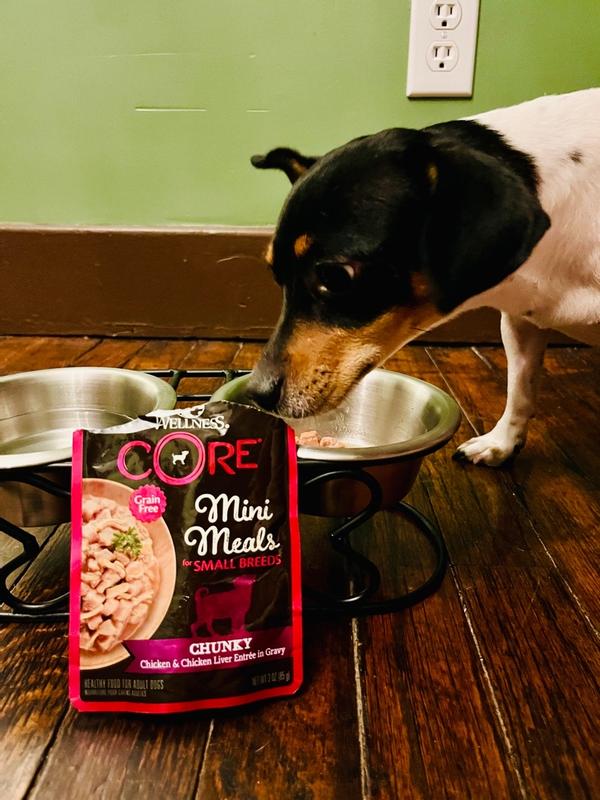 Wellness CORE Mini Meals Chicken Wellness Pet Food