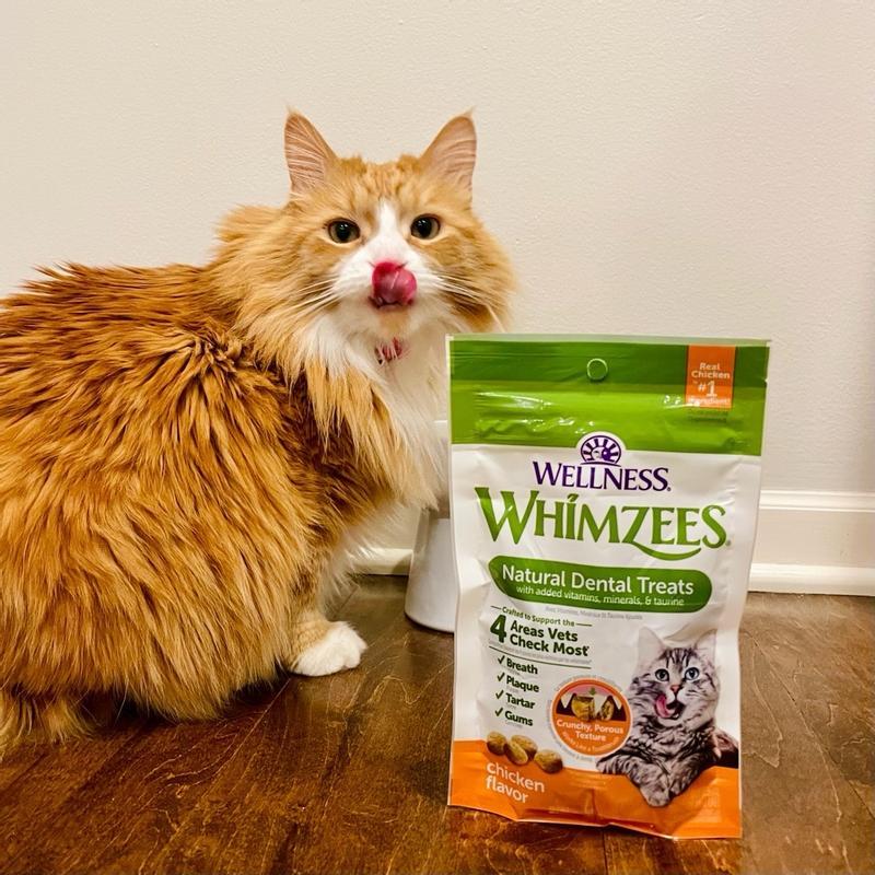 Wellness WHIMZEES Natural Cat Dental Treats, Chicken Flavor, 2