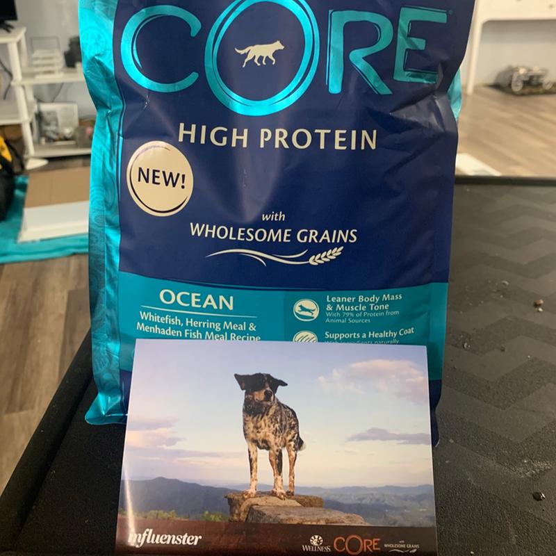 Wellness CORE Wholesome Grains Ocean Recipe Dry Dog Food 4 lbs