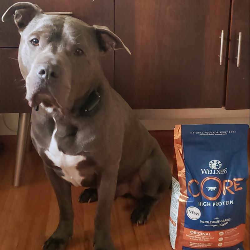 CORE Wholesome Grains Original Turkey Chicken Wellness Pet