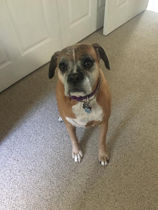 Abby