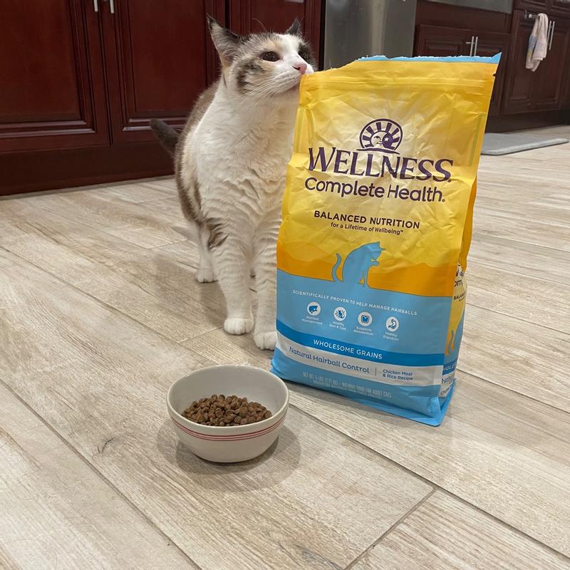 Wellness discount hairball control