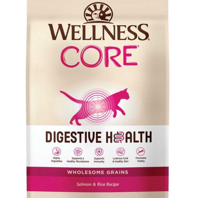 Wellness Core Digestive Health Salmon Recipe Dry Cat Food Petsense