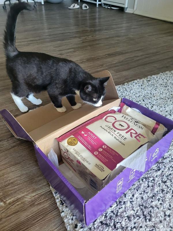 Aldi dine cat food best sale