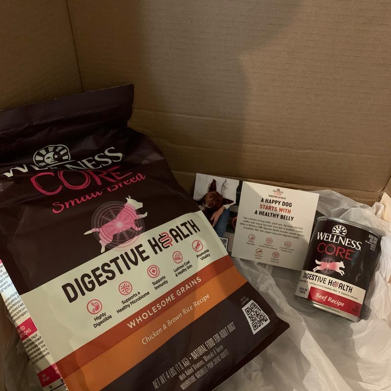 Wellness CORE Digestive Health Beef | Wellness Pet Food