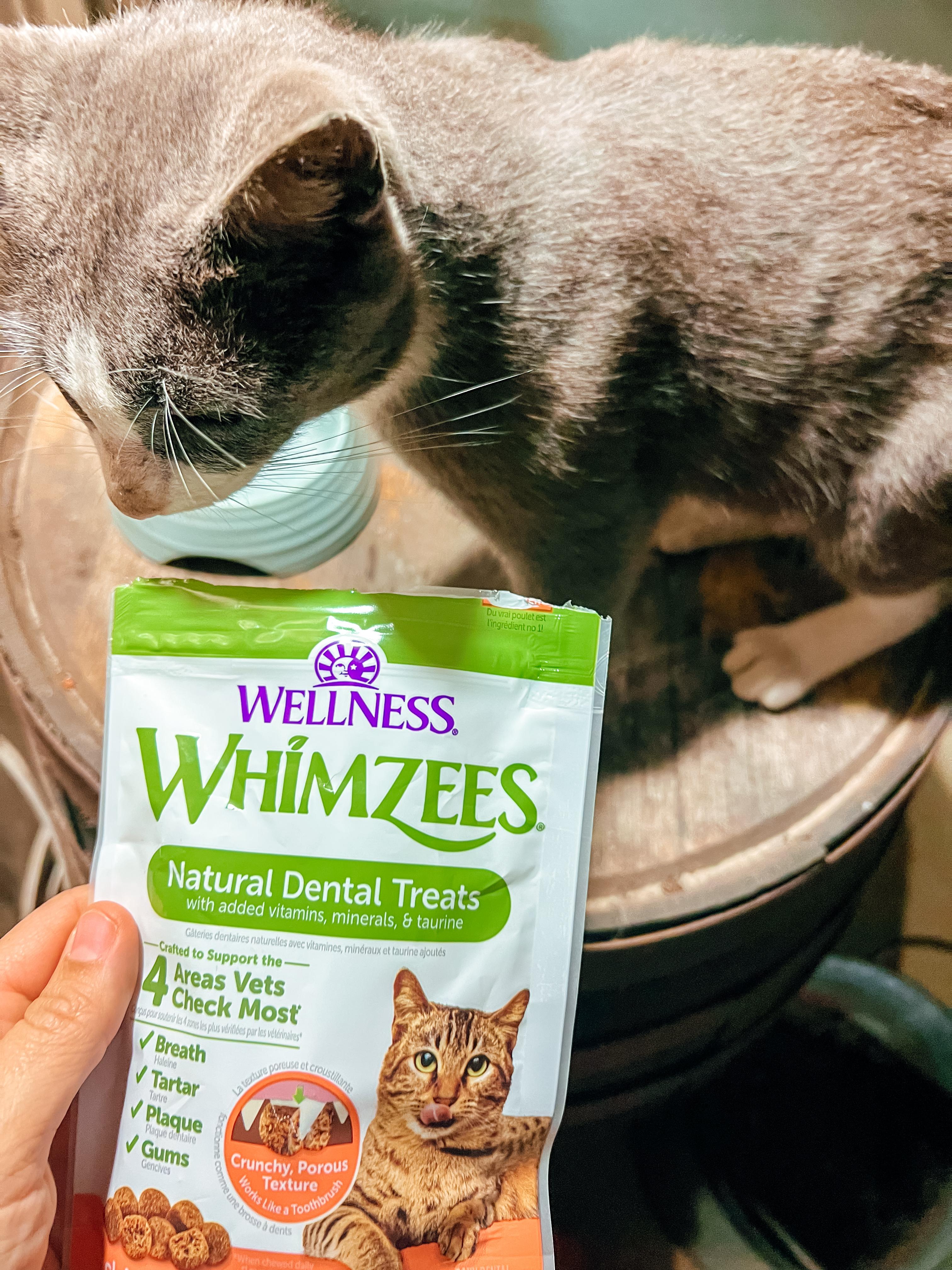 Whimzees Wellness Natural Chicken & Salmon Flavor Cat Dental