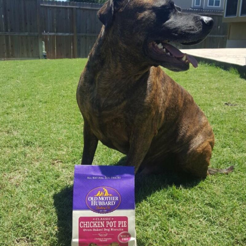 Old Mother Hubbard Mini Chicken Pot Pie Dog Treats 20 oz