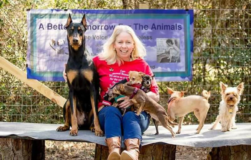 A Better Tomorrow For The Animal Rescue (Now Chihuahua Sanctuary for Special Needs Chi's