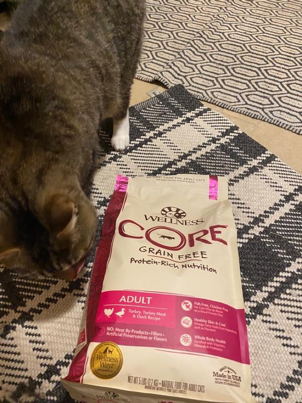 Wellness core cat outlet food turkey and duck