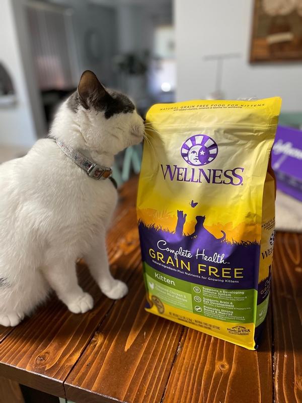 Wellness grain clearance free kitten food