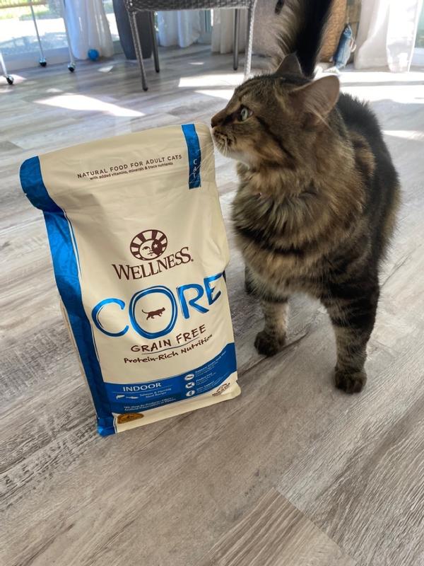 Wellness CORE Grain Free Indoor Salmon Herring Meal Cat Food