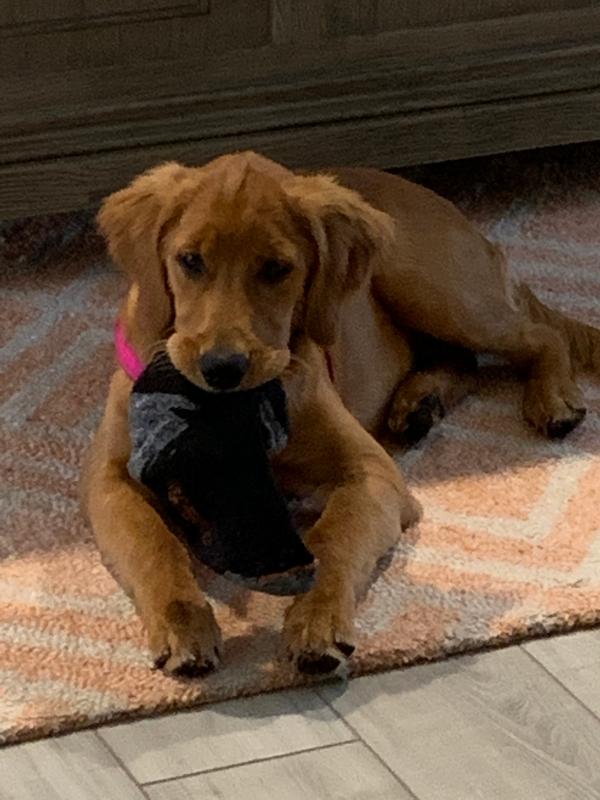 Loves my socks