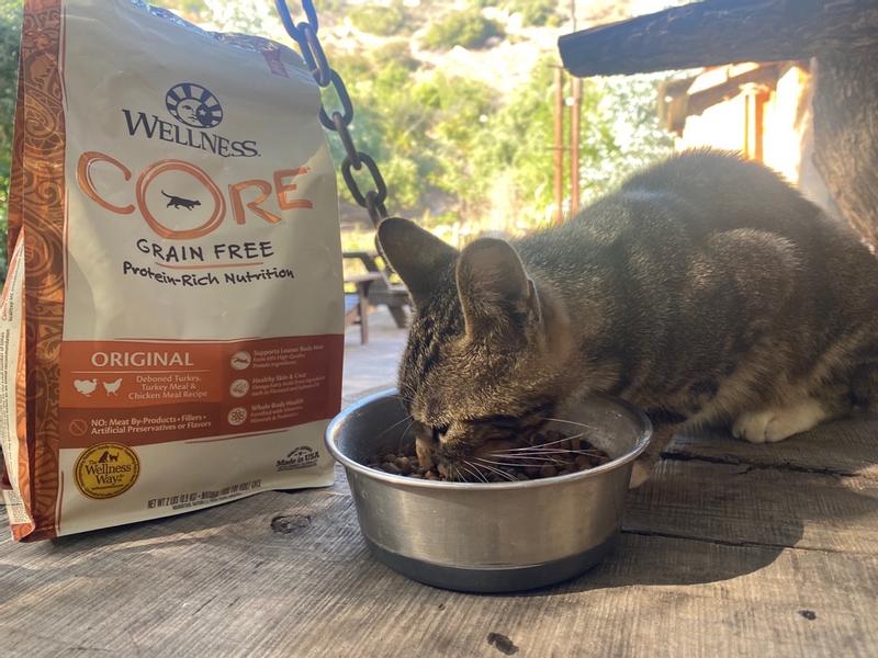 CORE® Original: Deboned Turkey, Turkey Meal & Chicken Meal Cat Food