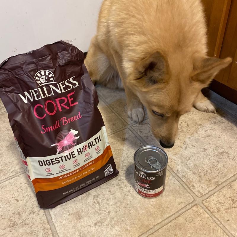 Wellness core sales small breed review