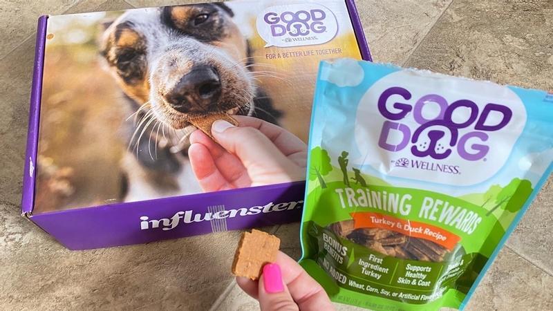 Best food reward for dog training best sale