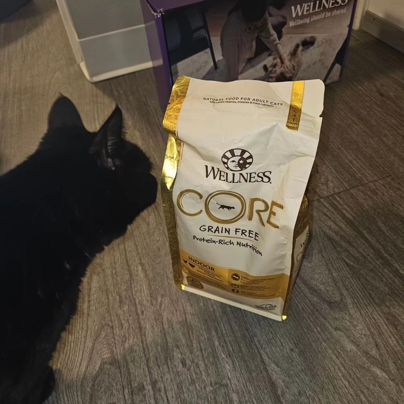 Wellness core air shop dried cat food