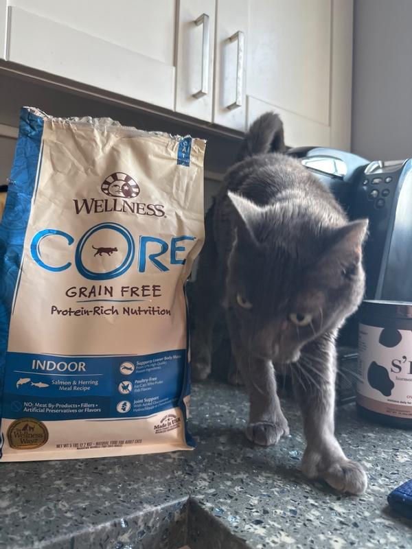 Wellness CORE Grain-Free Salmon & Herring Indoor Cat Food 5 lbs