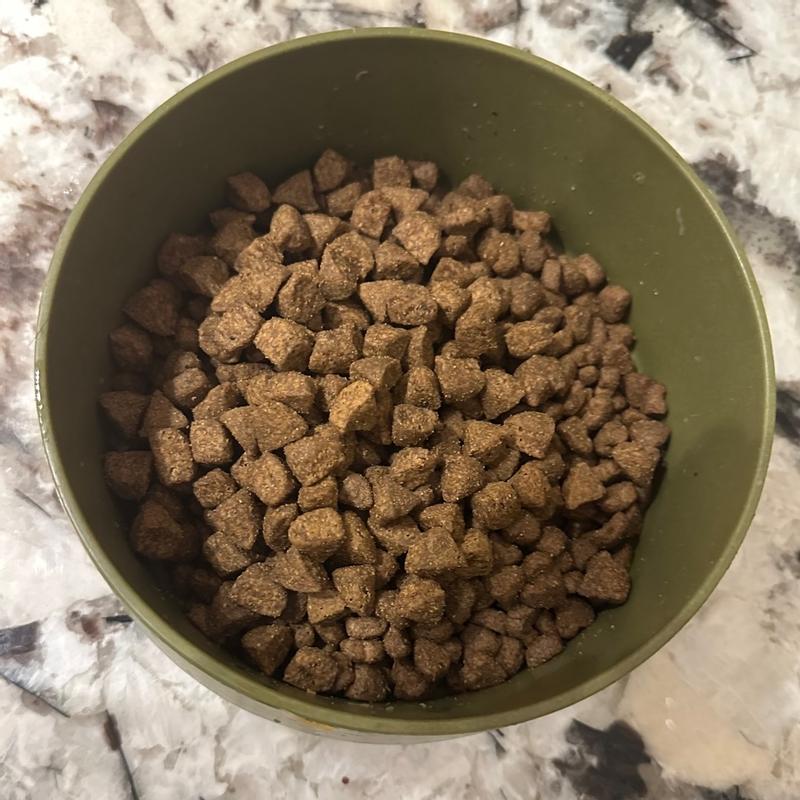 Wellness CORE Grain Free Senior Turkey Recipe Wellness Pet Food