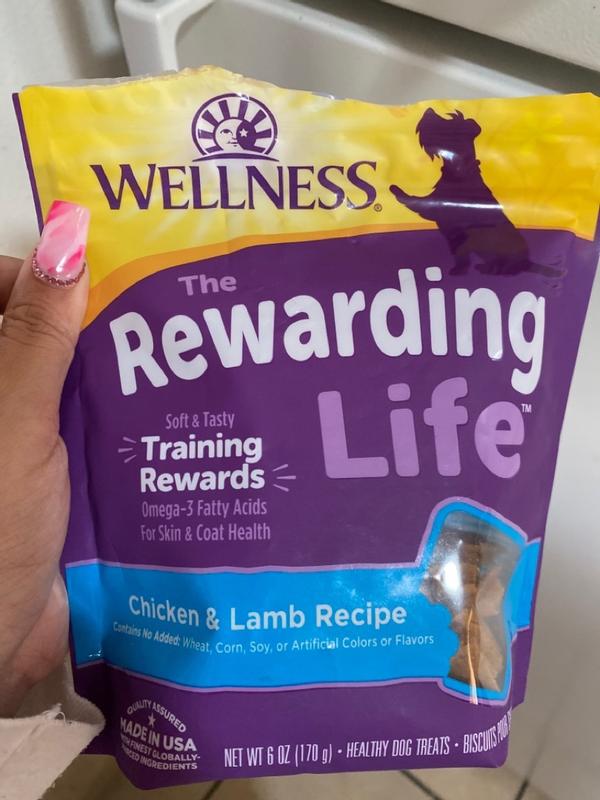 Wellness complete health small breed sales puppy review