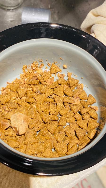 Maggots & Roaches infested in the newly opened dog food bag!