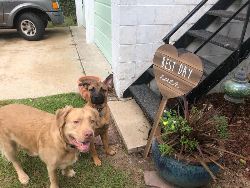 Tig and Doc
