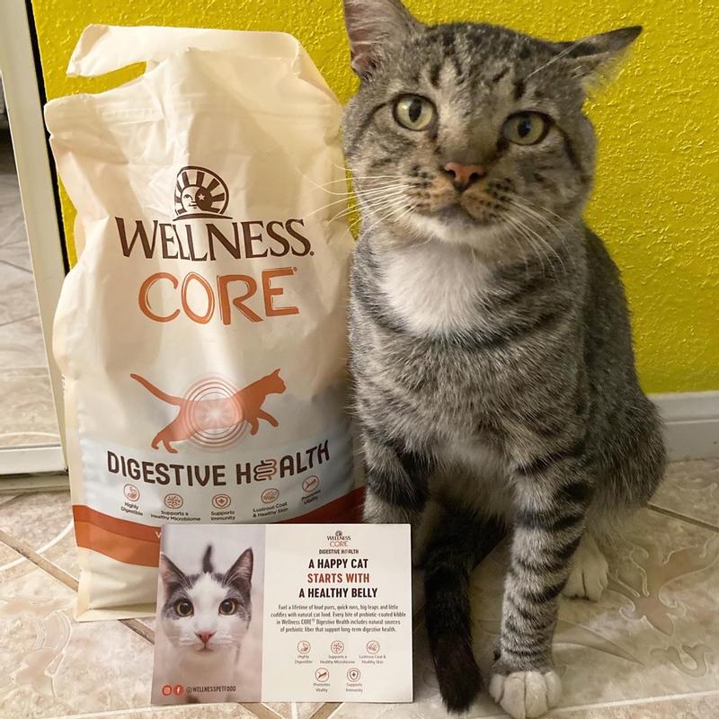 Wellness CORE Digestive Health Chicken Cat Wellness Pet Food