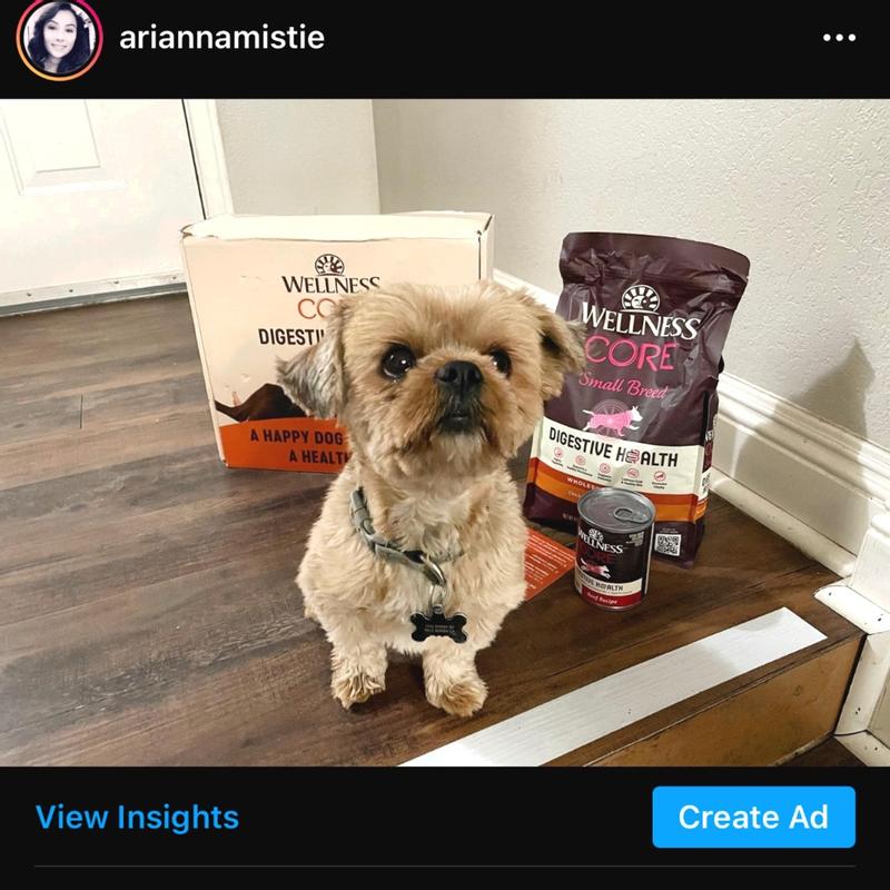 Wellness core small shop breed puppy reviews