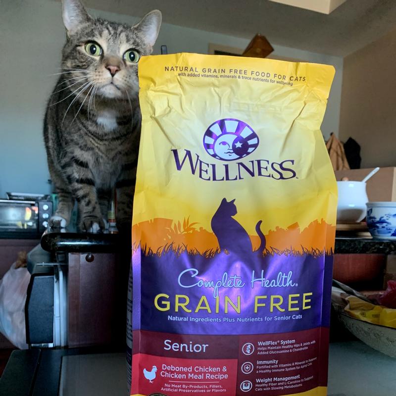 Wellness complete health shop senior cat food