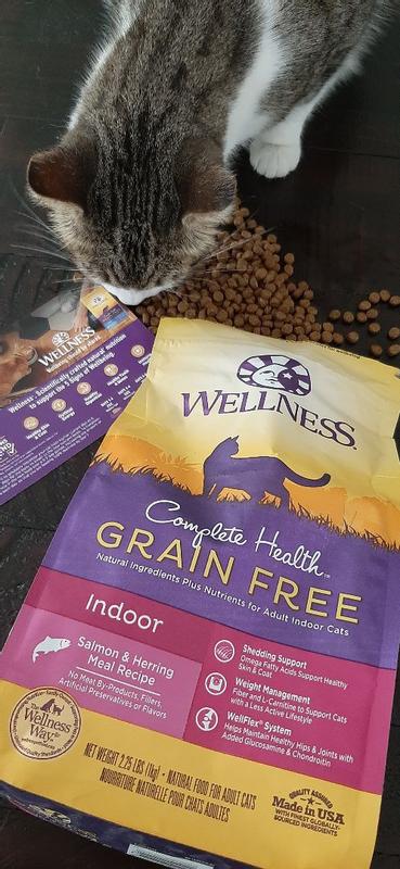 Wellness grain free cat food reviews sale