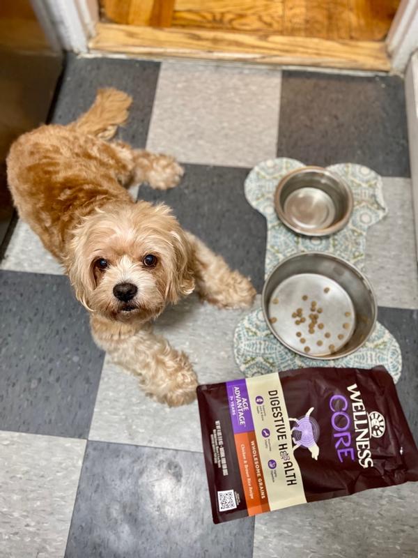 best price purina pro plan dog food Purina Pro Plan Focus Large Breed Puppy Formula Dry Dog Food - New Era, MI  - Montague, MI