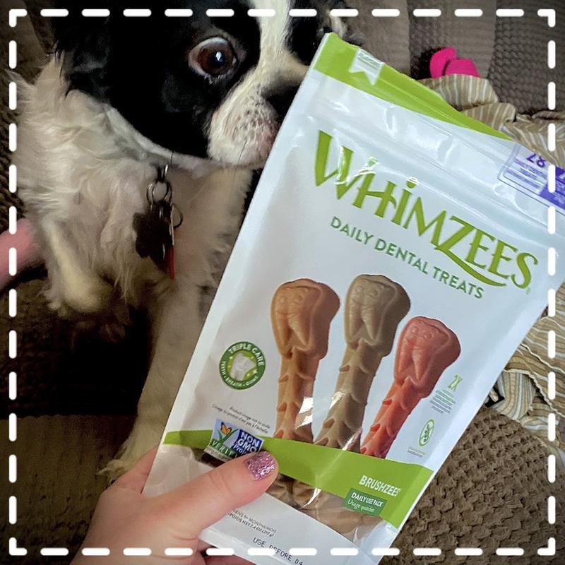 Whimzees Vegetarian Dental Chews for Dogs Only Natural Pet
