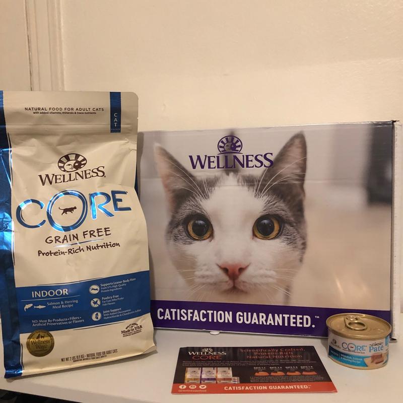 Wellness Core Cat Food Reviews