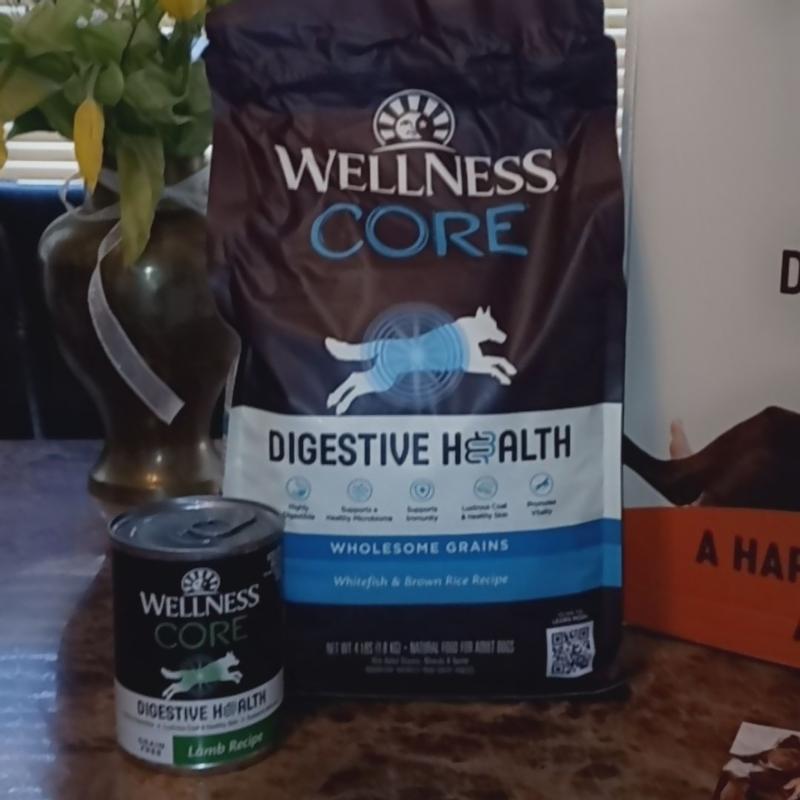 Wellness core large 2024 breed puppy review