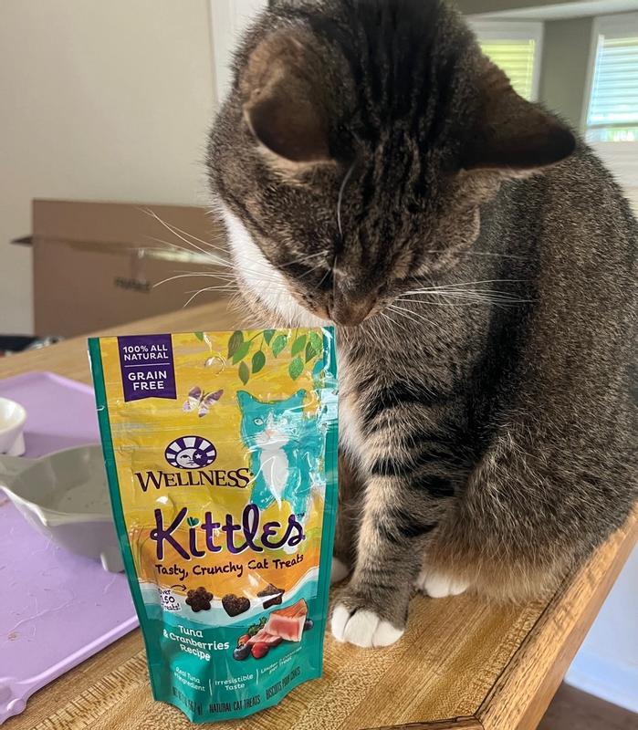 Kittles treats best sale