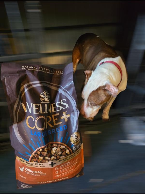 Pet Food Is Wellness Core Dog Food Safe Wellness CORE Natural