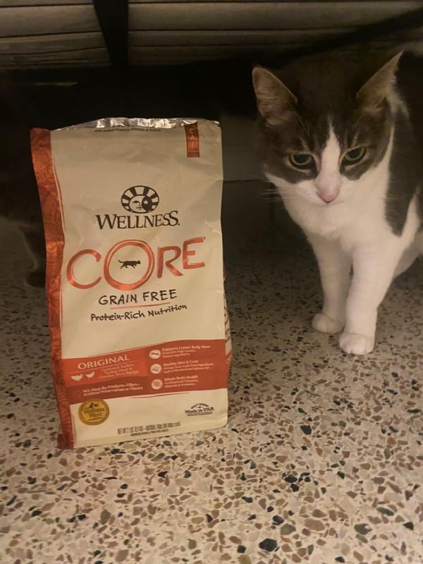 CORE® Original: Deboned Turkey, Turkey Meal & Chicken Meal Cat Food