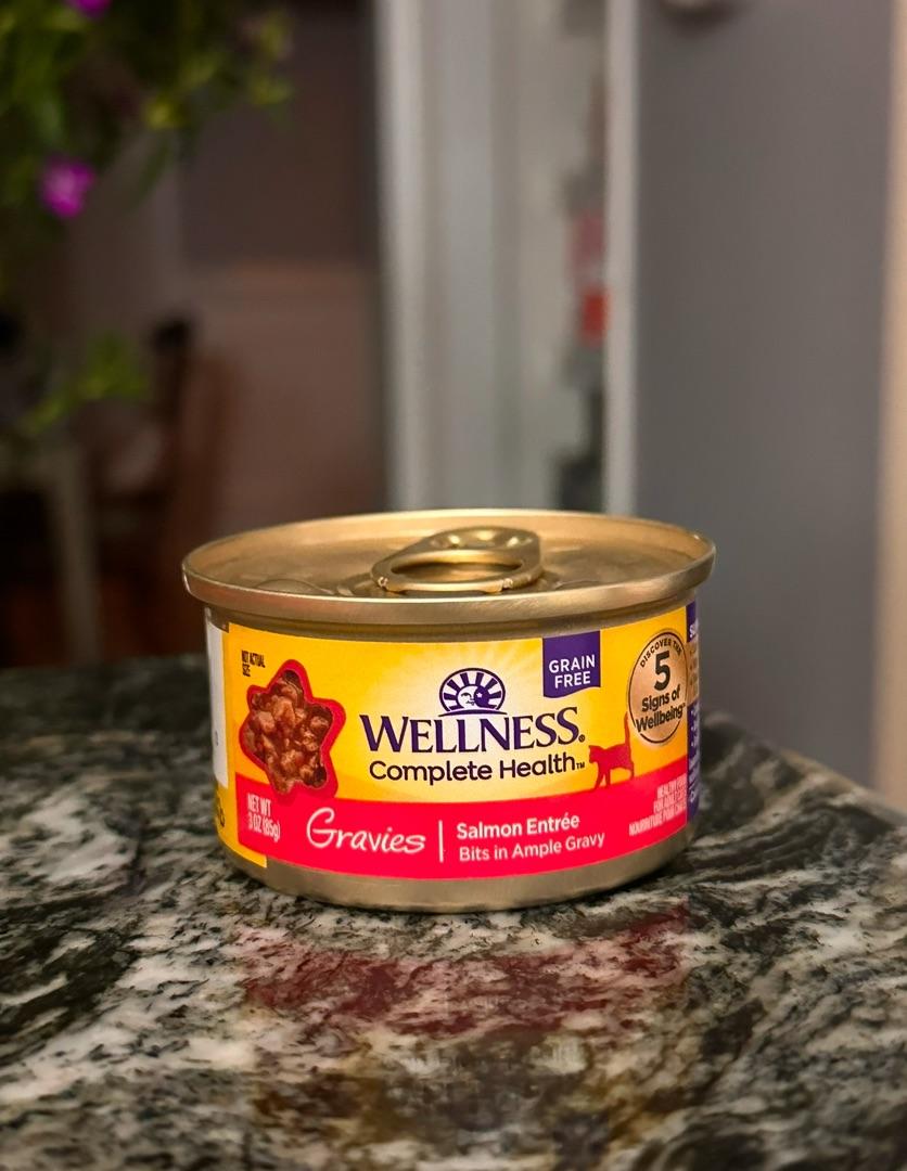 Wellness Complete Health Natural Canned Grain Free Gravies Salmon