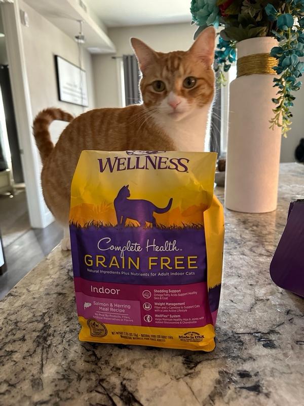 Wellness air outlet dried cat food