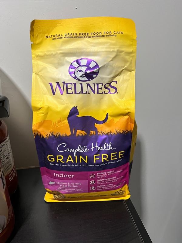 Wellness salmon cat outlet food